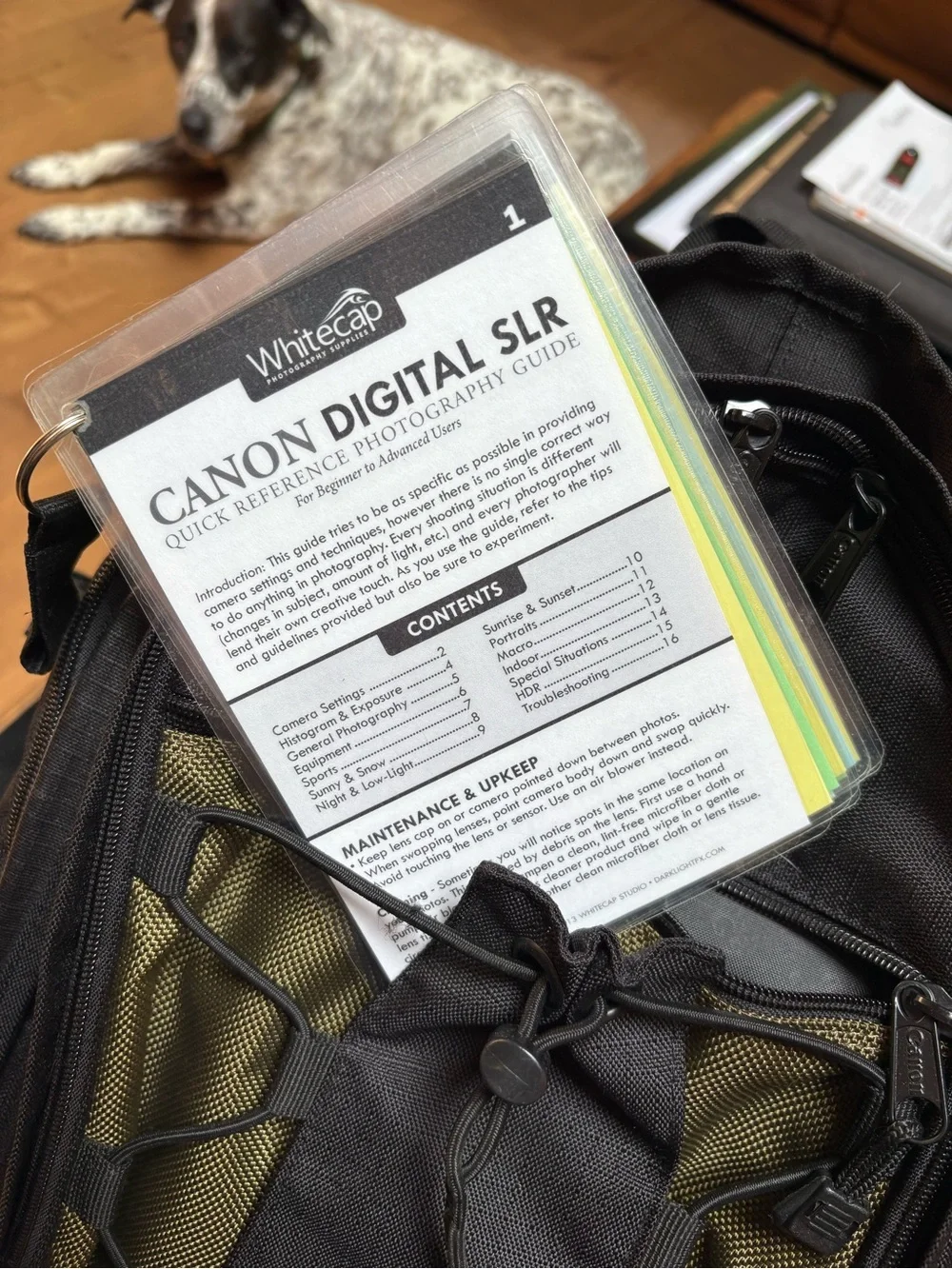 Canon backpack camera bag